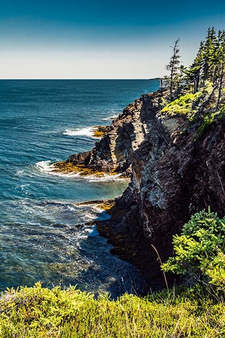 DSC_4432 newfoundland.jpg